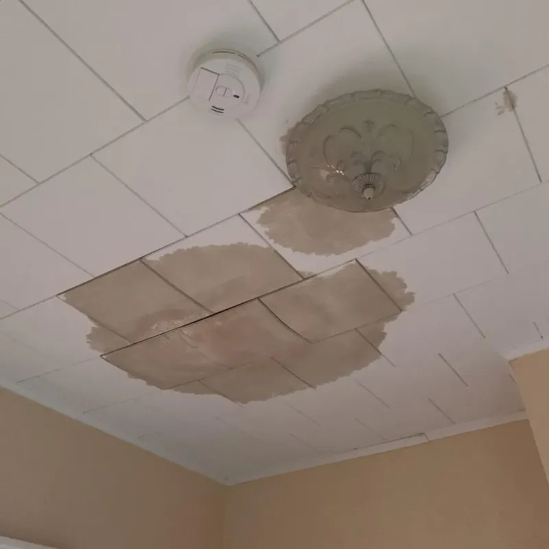 Ceiling Water Damage Repair in Stamford, TX
