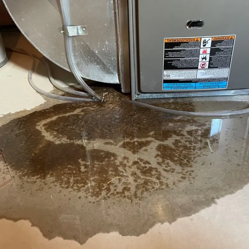 Pipe Burst and Leak Restoration in Stamford, TX