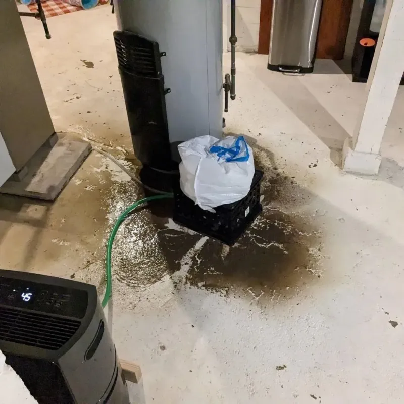 Sewage Backup Cleanup Service in Stamford, TX